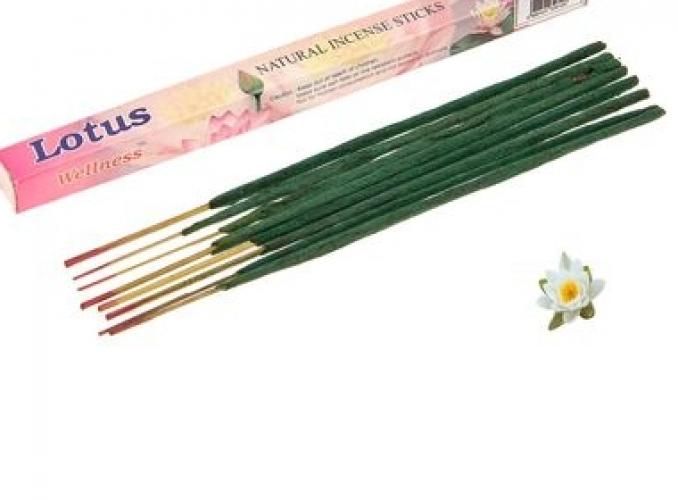 Благовония Wellness с Масала (8 палочек) Лотос